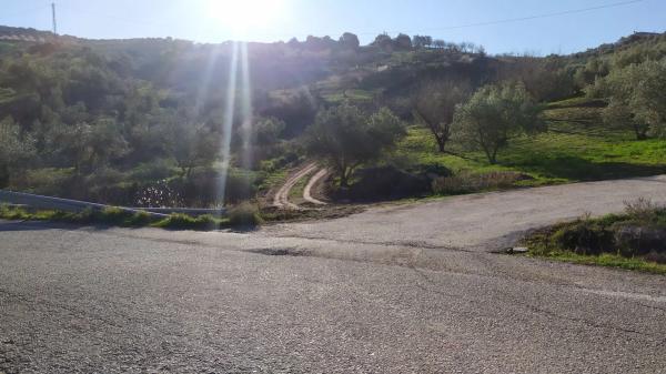 Terreno en La Morra s/n