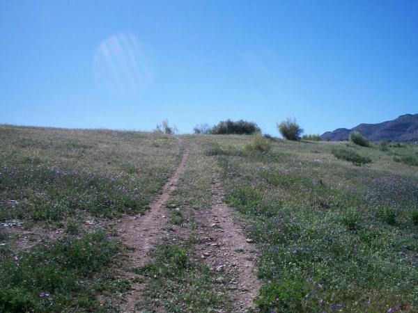 Terreno en Pt Las Paredillas