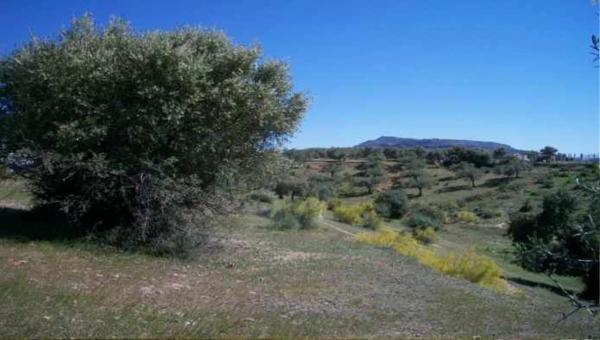 Terreno en Pt Las Paredillas