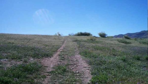 Terreno en Pt Las Paredillas