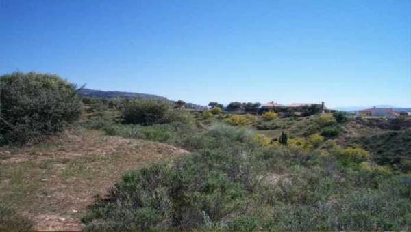 Terreno en Pt Las Paredillas