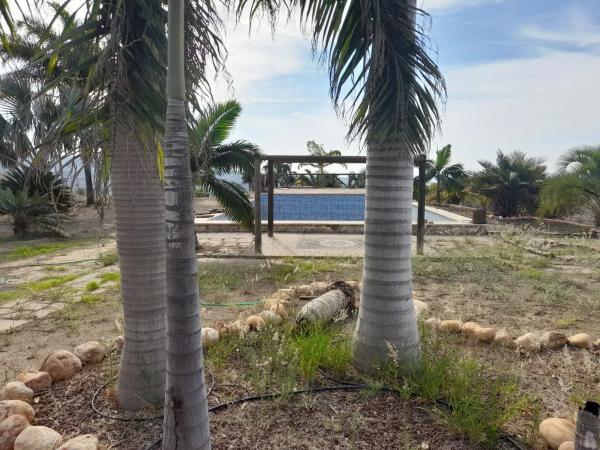 Terreno en Camino Algarrobo - Las Arenas