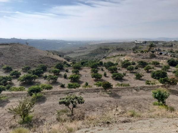Terreno en Camino Algarrobo - Las Arenas