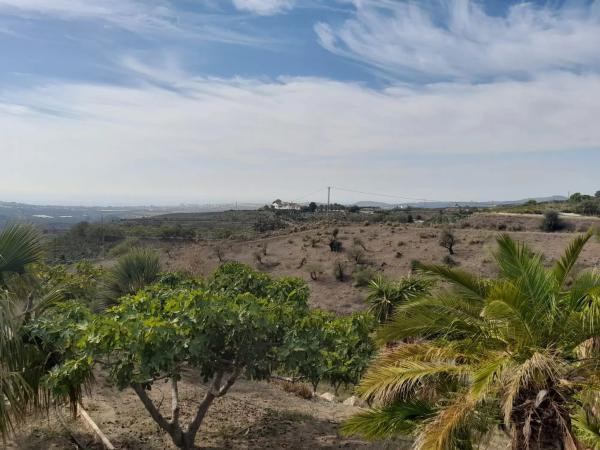 Terreno en Camino Algarrobo - Las Arenas