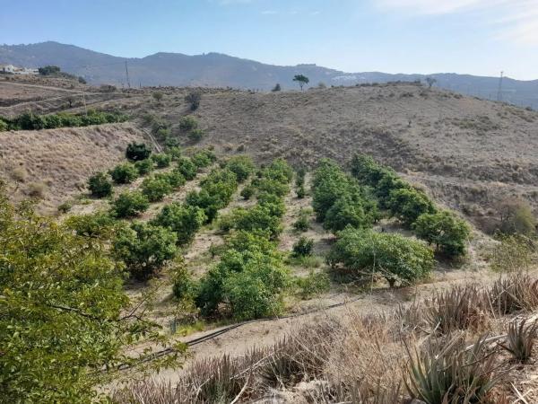 Terreno en Camino Algarrobo - Las Arenas