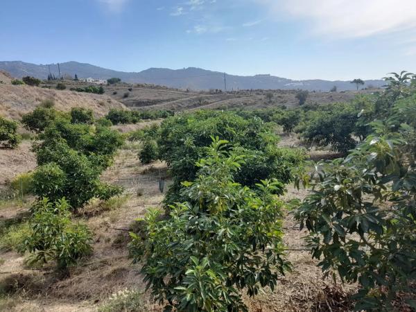 Terreno en Camino Algarrobo - Las Arenas
