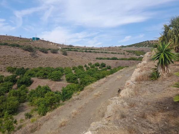 Terreno en Camino Algarrobo - Las Arenas