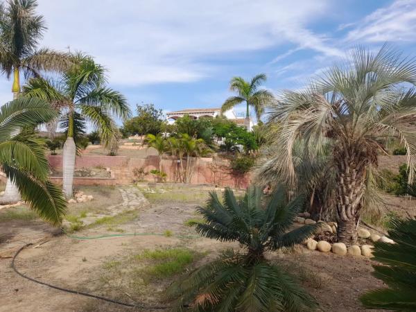 Terreno en Camino Algarrobo - Las Arenas