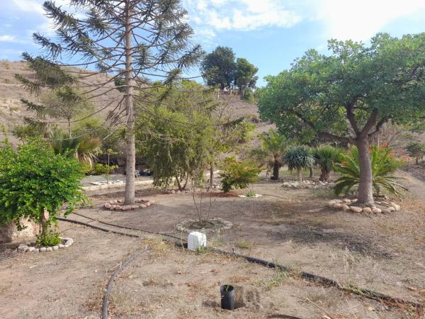 Terreno en Camino Algarrobo - Las Arenas