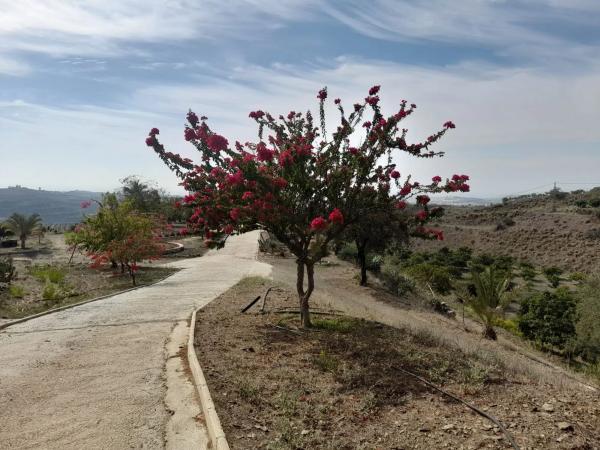 Terreno en Camino Algarrobo - Las Arenas