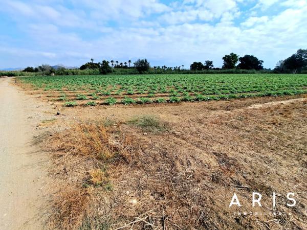 Terreno en El Romeral-Peñón de Zapata