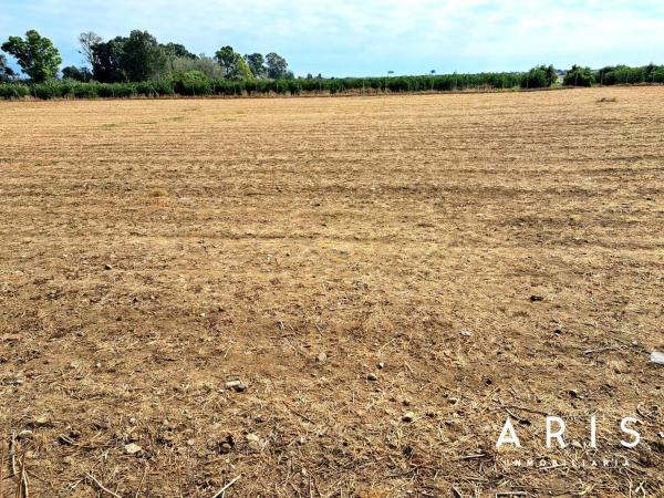 Terreno en El Romeral-Peñón de Zapata