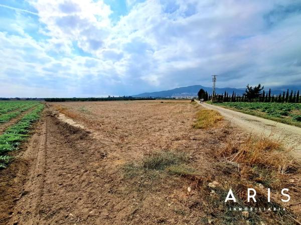 Terreno en El Romeral-Peñón de Zapata