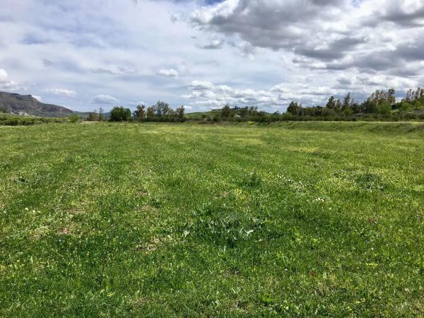 Terreno en A-354, 29569 Pizarra, Málaga, España s/n