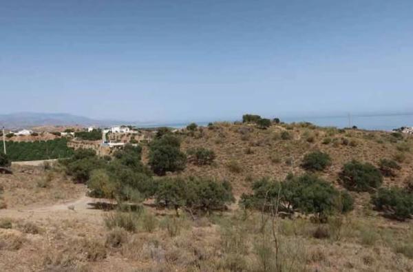 Terreno en Arrabal los Martinez