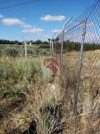 Terreno en carretera de Cártama