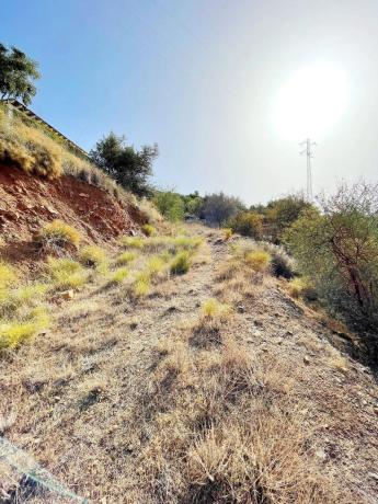Terreno en Sayalonga