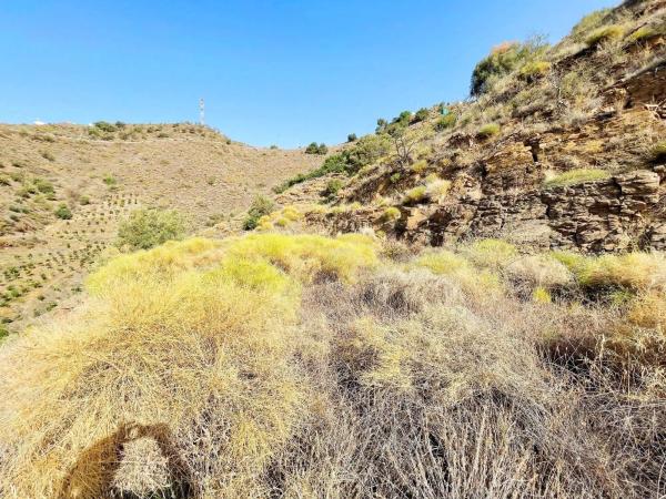 Terreno en Sayalonga