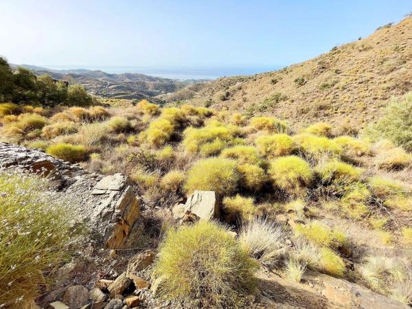 Terreno en Sayalonga