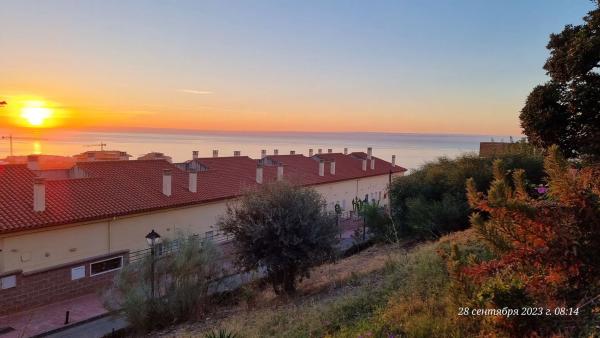 Terreno en calle Perdices, 4