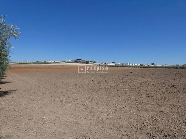 Terreno en callejón Martínez