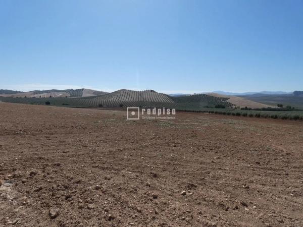 Terreno en callejón Martínez