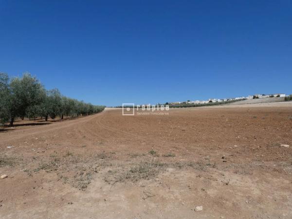 Terreno en callejón Martínez