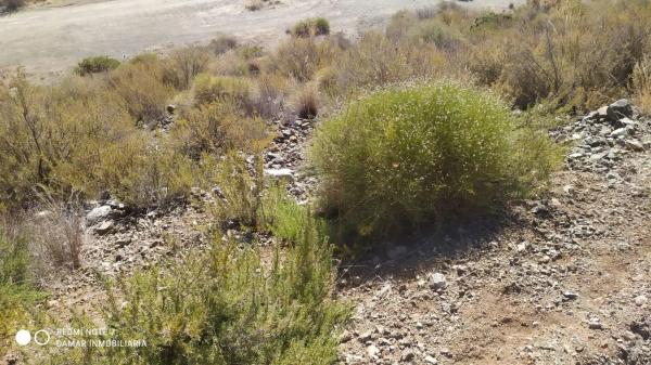 Terreno en calle Genalguacil, 327