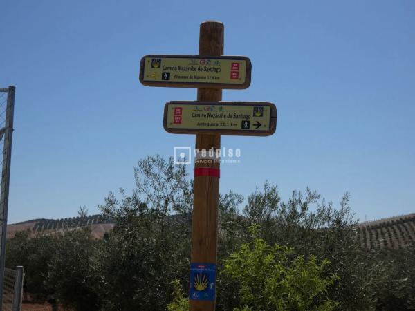 Terreno en callejón Martínez