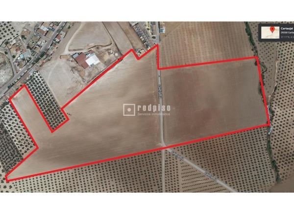 Terreno en callejón Martínez