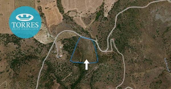 Terreno en Vía