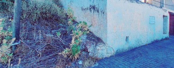 Terreno en Canillas de Aceituno