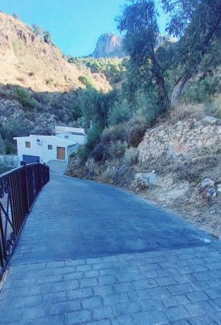 Terreno en Canillas de Aceituno