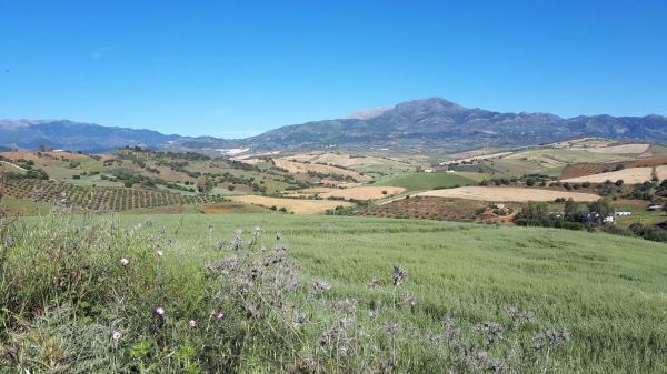Terreno en camino Rural Río Grande, km 3