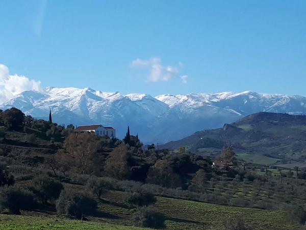 Terreno en camino Rural Río Grande, km 3