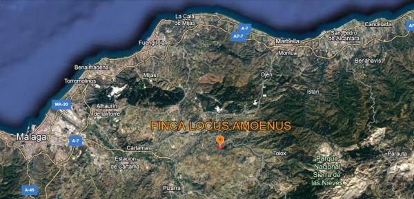 Terreno en camino Rural Río Grande, km 3