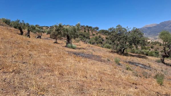Terreno en camino Rural Río Grande, km 3