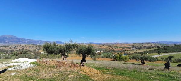Terreno en carretera antigua de alozaina s/n