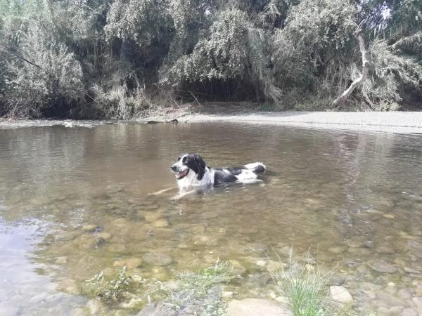 Terreno en camino Rural Río Grande, km 3