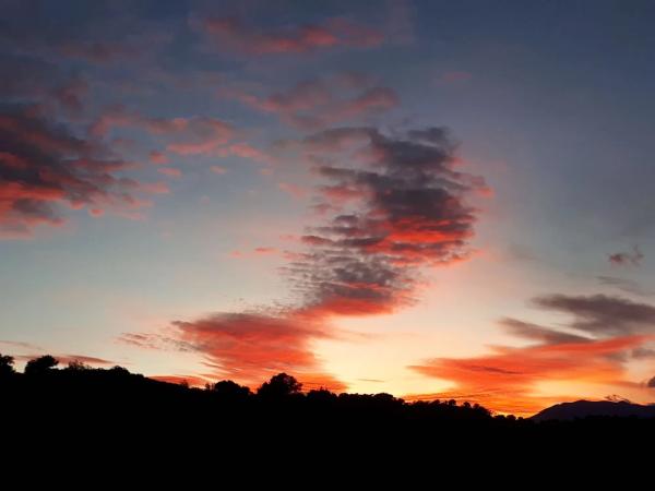 Terreno en camino Rural Río Grande, km 3