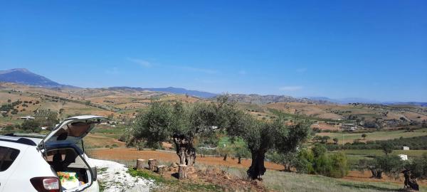 Terreno en carretera antigua de alozaina s/n