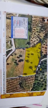 Terreno en carretera antigua de alozaina s/n