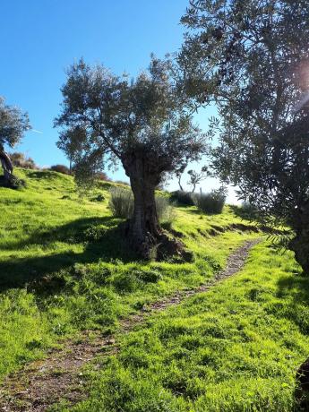 Terreno en camino Rural Río Grande, km 3