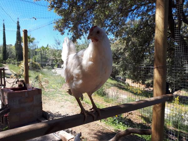 Terreno en camino Rural Río Grande, km 3