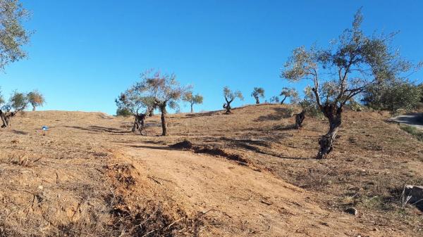 Terreno en camino Rural Río Grande, km 3