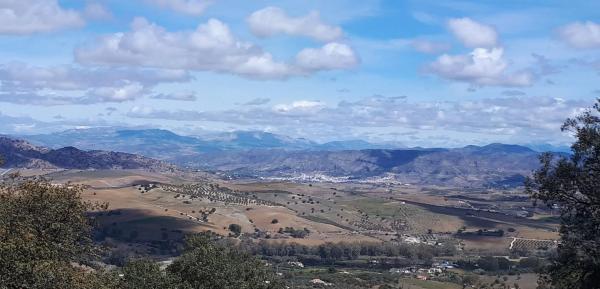 Terreno en camino Rural Río Grande, km 3