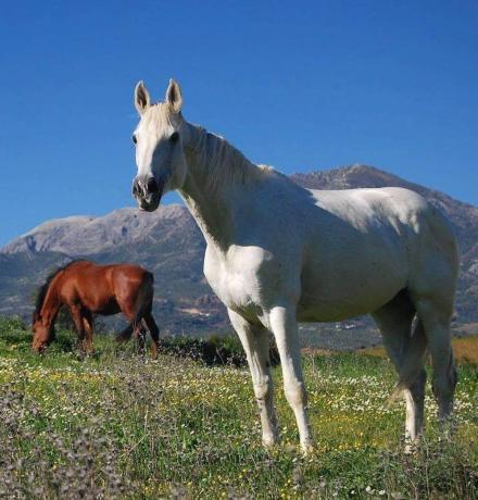 Terreno en camino Rural Río Grande, km 3