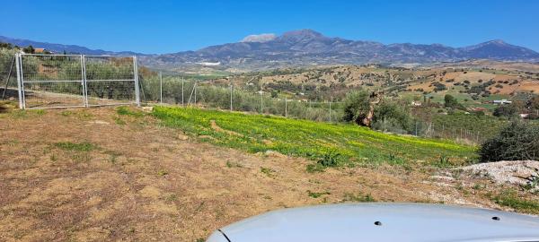 Terreno en carretera antigua de alozaina s/n