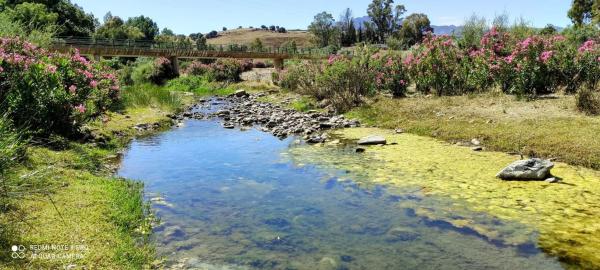 Terreno en camino Rural Río Grande, km 3