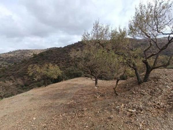 Terreno en Casabermeja